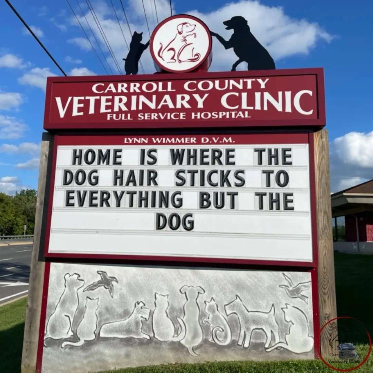 carrol county veterinary clinic sign that reads "home is where the dog hair sticks to everything but the dog"