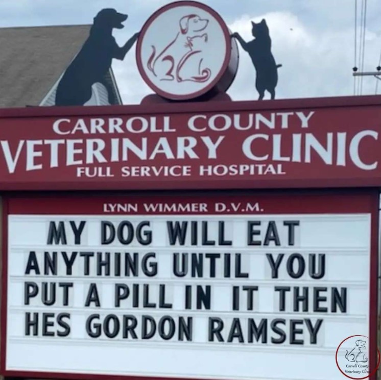 carrol county veterinary clinic sign that reads "my dog will eat anything until you put a pill in it then hes gordon ramsey"