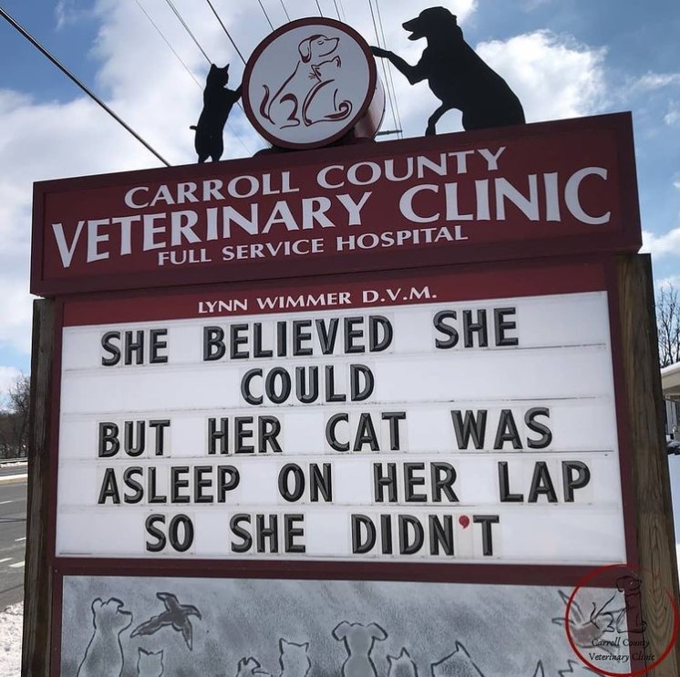 carrol county veterinary clinic sign that reads "she believed she could but her cat was asleep on her lap so she didn't"