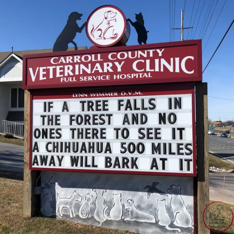 carrol county veterinary clinic sign that reads "if a tree falls in the forest and no ones there to see it a chihuahua 500 miles away will mark at it"