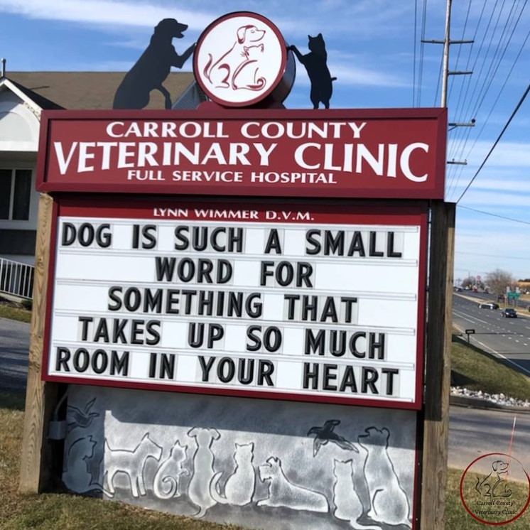 carrol county veterinary clinic sign that reads "dog is such a small word for something that takes up so much room in your heart"