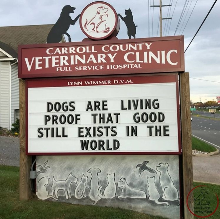 carrol county veterinary clinic sign that reads "dogs are living proof that good still exists in the world'