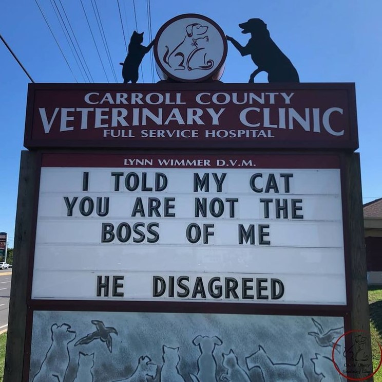 carrol county veterinary clinic sign that reads "I told my cat you are not the boss of me he disagreed"