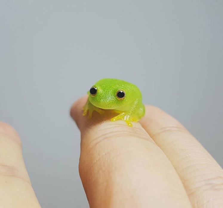 tiny bright green frog sitting on a finger 