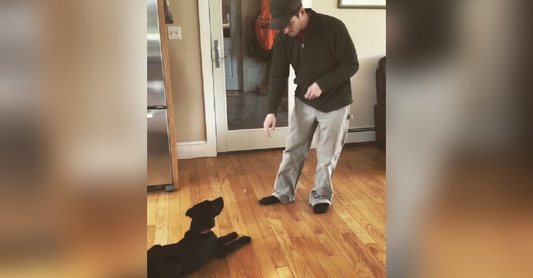 Nick training Emerson the deaf dog