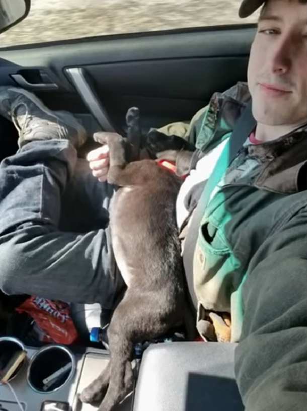 Nick Abbot and his black lab puppy in his lap in truck