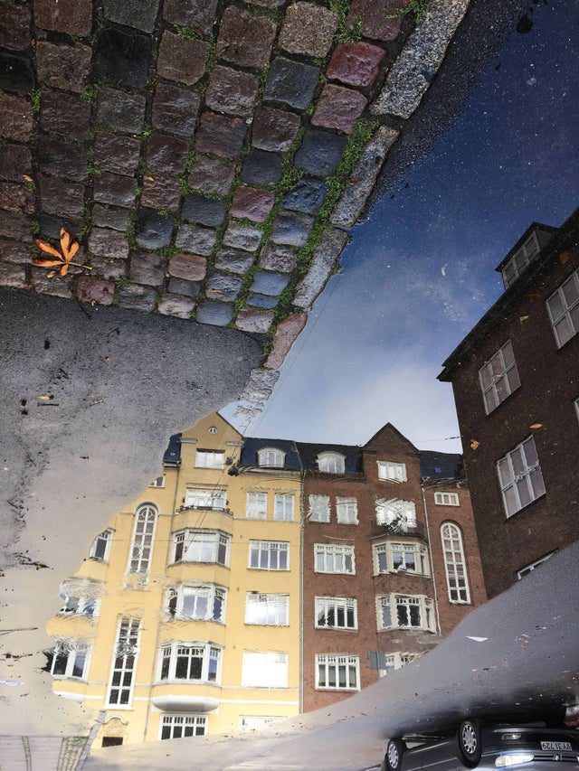 reflection makes it look like the world is upside down
