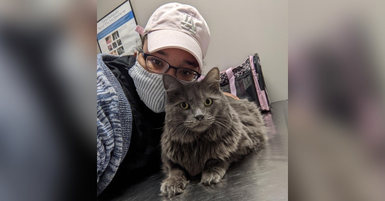 reddit user rainbowsandbutterfly aka jill posing with her grey cat ashton at a veterinarian visit