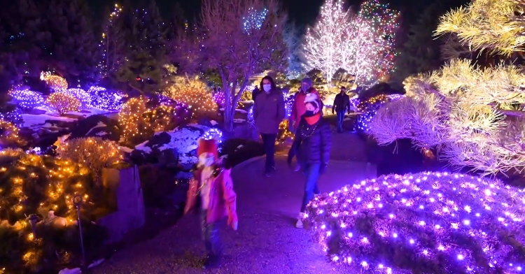 people walking through Christmas light display