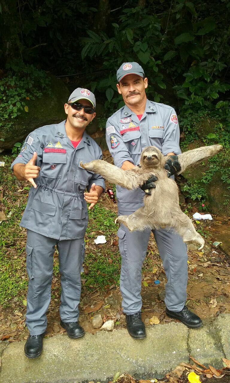two brazilian firefighters posing with the sloth they rescued