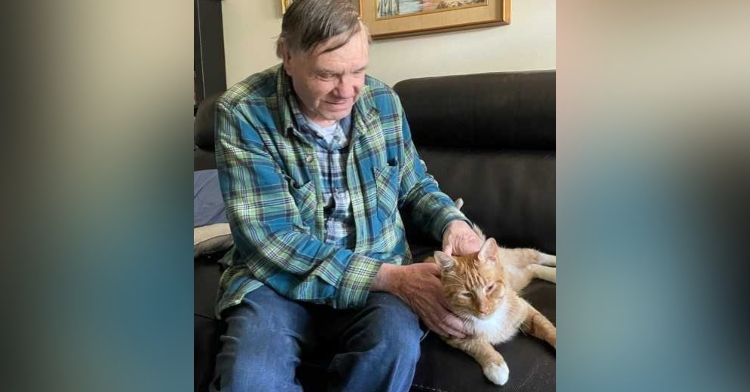 dave smith sitting on a couch while looking down at and petting an orange tabby named oscar the 3rd