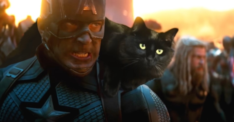 scene from avengers: endgame with owkitty edited on captain america's shoulder