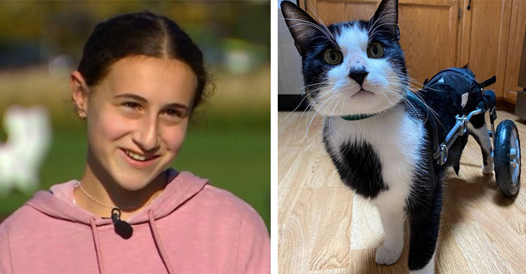 teen in pink sweater next to black and white cat in custom wheelchair