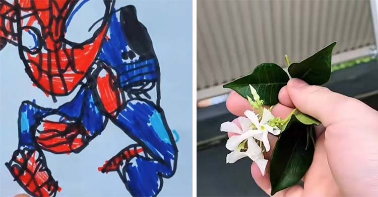 spiderman drawing next to man holding flowers near fence