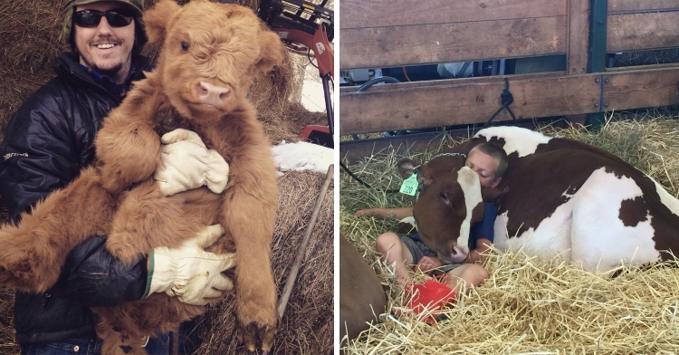 farmers cuddling with cute cows