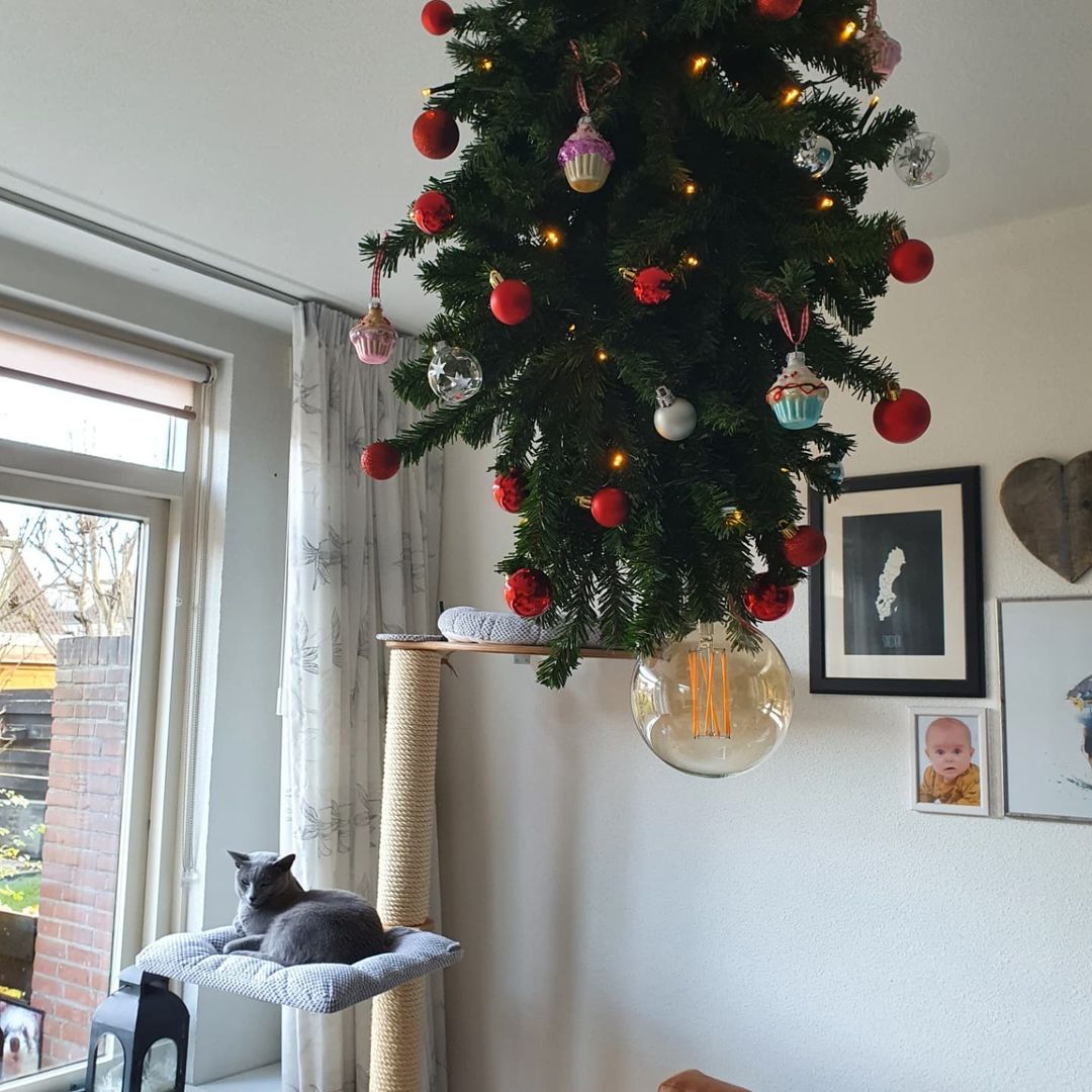 christmas tree on ceiling