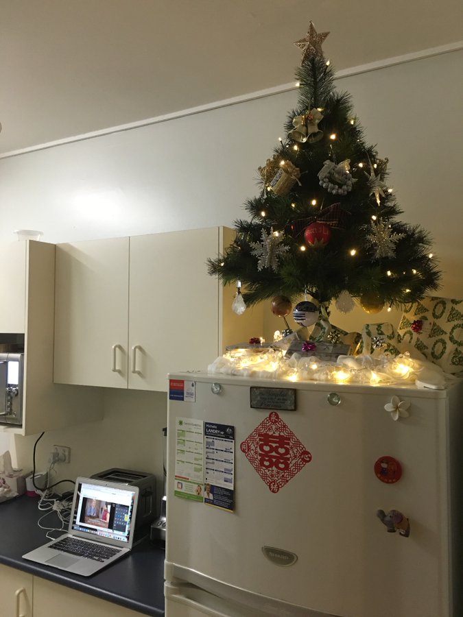 small Christmas tree on top of fridge