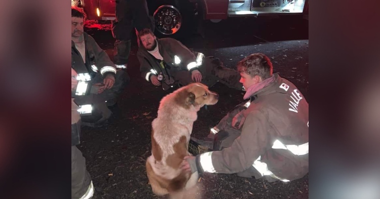 big stone gap fire department firefighters sitting outside on the ground petting a dog named cooper near their truck