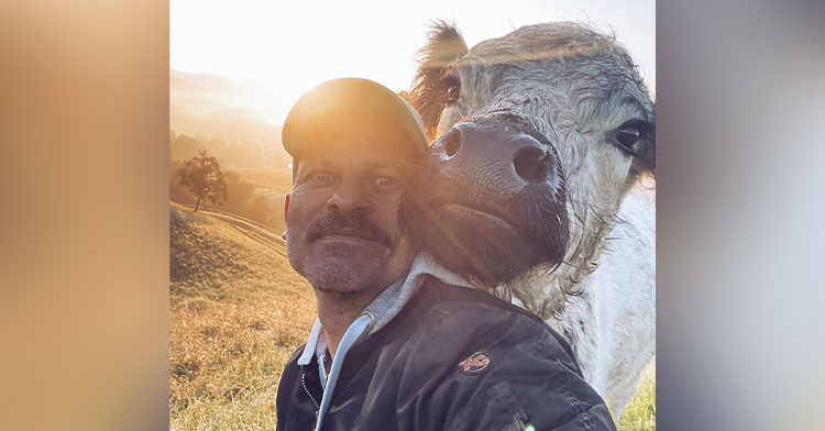 man standing right next to gray cow in field