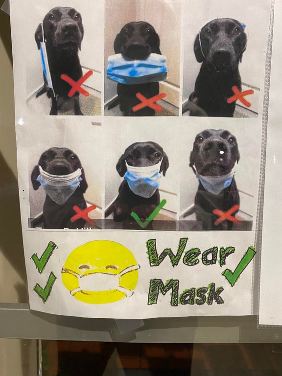 sign at a doctor's office with photos of a dog wearing a face mask in various ways to show the correct way to where one