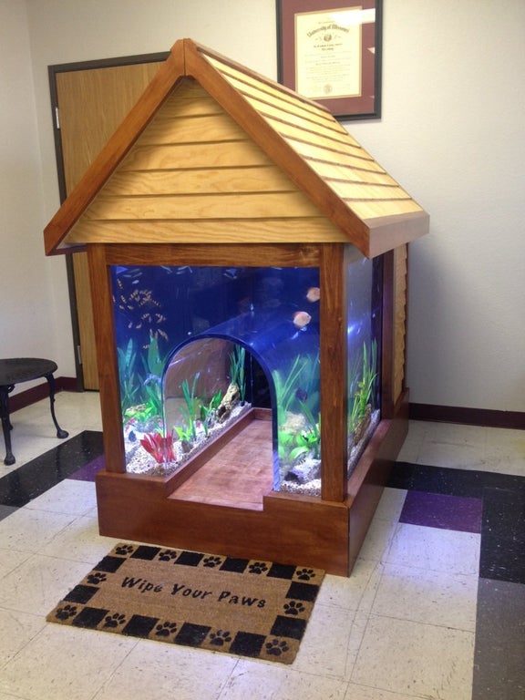 combination dog house and fish tank with a door mat that says "wipe your paws" inside of a vet clinic 
