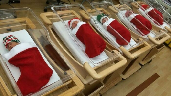 newborn babies sleeping inside of christmas stockings while in the hospital