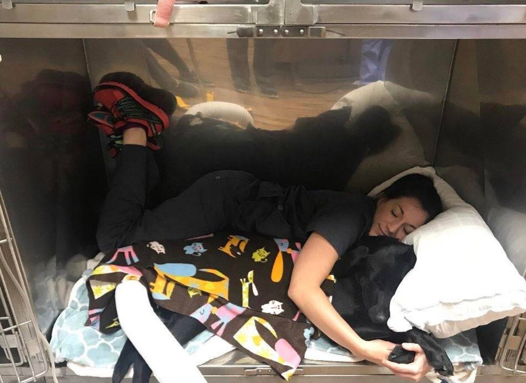 veterinarian assistant laying down with and cuddling a large black dog who is in post-op after surgery  