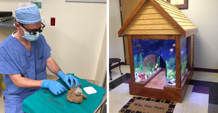 doctor dressed for surgery as he pretends to perform surgery on a child's teddy bear and combination dog house and fish tank with a door mat that says "wipe your paws" inside of a vet clinic