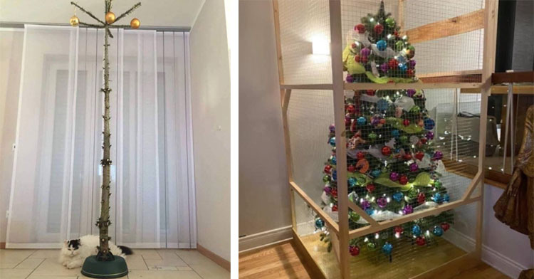 cat next to barren christmas tree trunk next to tree in cage