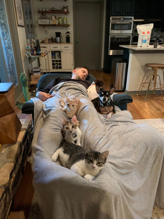 man sleeping with dogs and cats piled on top of him.