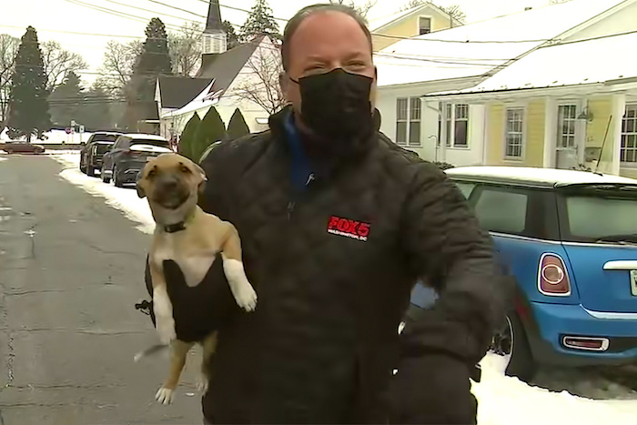 news reporter holding a small dog as he stands in the road of a neighborhood