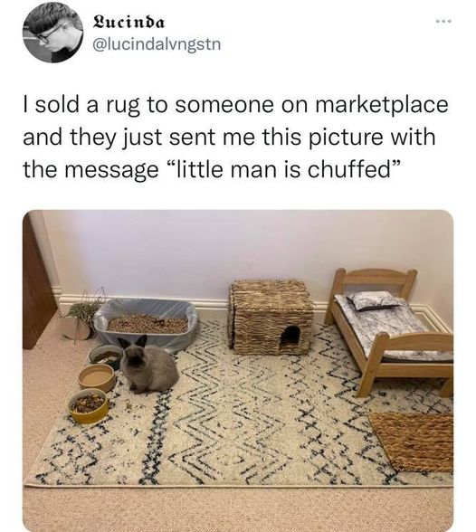 screenshot of a tweet from twitter user @lucindalvngstn that includes a photo of a bunny's mini room that include a mini bed and rug. the tweet reads 