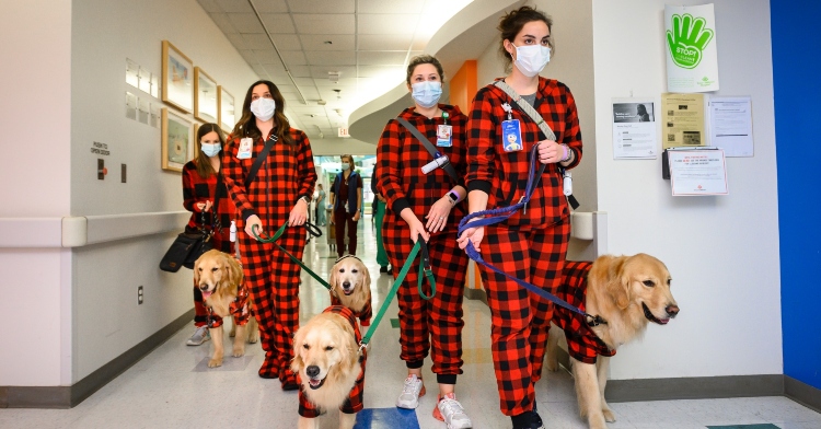 four women in matching plaid pajamas walking four golden retrievers who are in the same matching pajamas down the halls of texas children's hospital