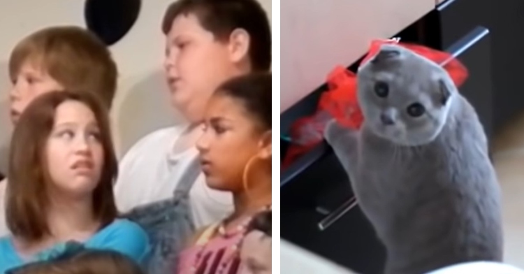 a group of school children singing, one of which has a disgusted look on her face as she looks back at another student and a photo of a cat looking back as it's getting caught stealing from a drawer