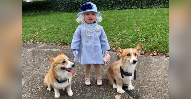 2-year-old little girl named jalayne sutherland posing with her two corgi dogs outside while dressed like queen elizabeth ii