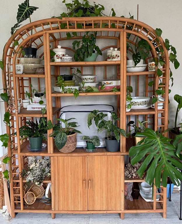 a large rattan etagere with lots of plants placed on it