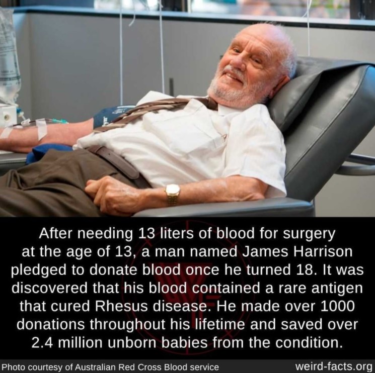 photo of a man named james harrison laying down in a chair after giving blood with a fact about him edited onto the image which was done by instagram user @factsweird. the image says "After needing 13 liters of blood for surgery at the age of 13, a man named James Harrison pledged to donate blood once he turned 18. It was discovered that his blood contained a rare antigen that cured Rhesus disease. He made over 1000 donations throughout his lifetime and saved over 2.4 million unborn babies from the condition.