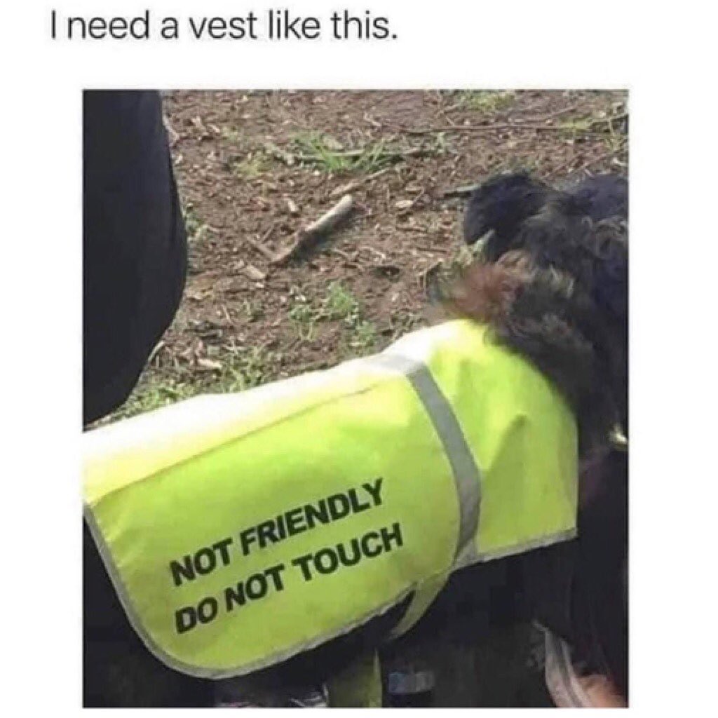 dog in "do not pet" vest