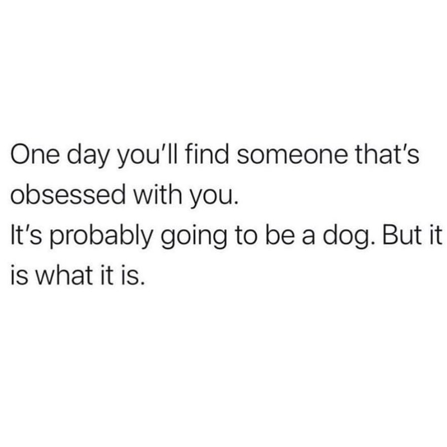 meme about dogs loving humans