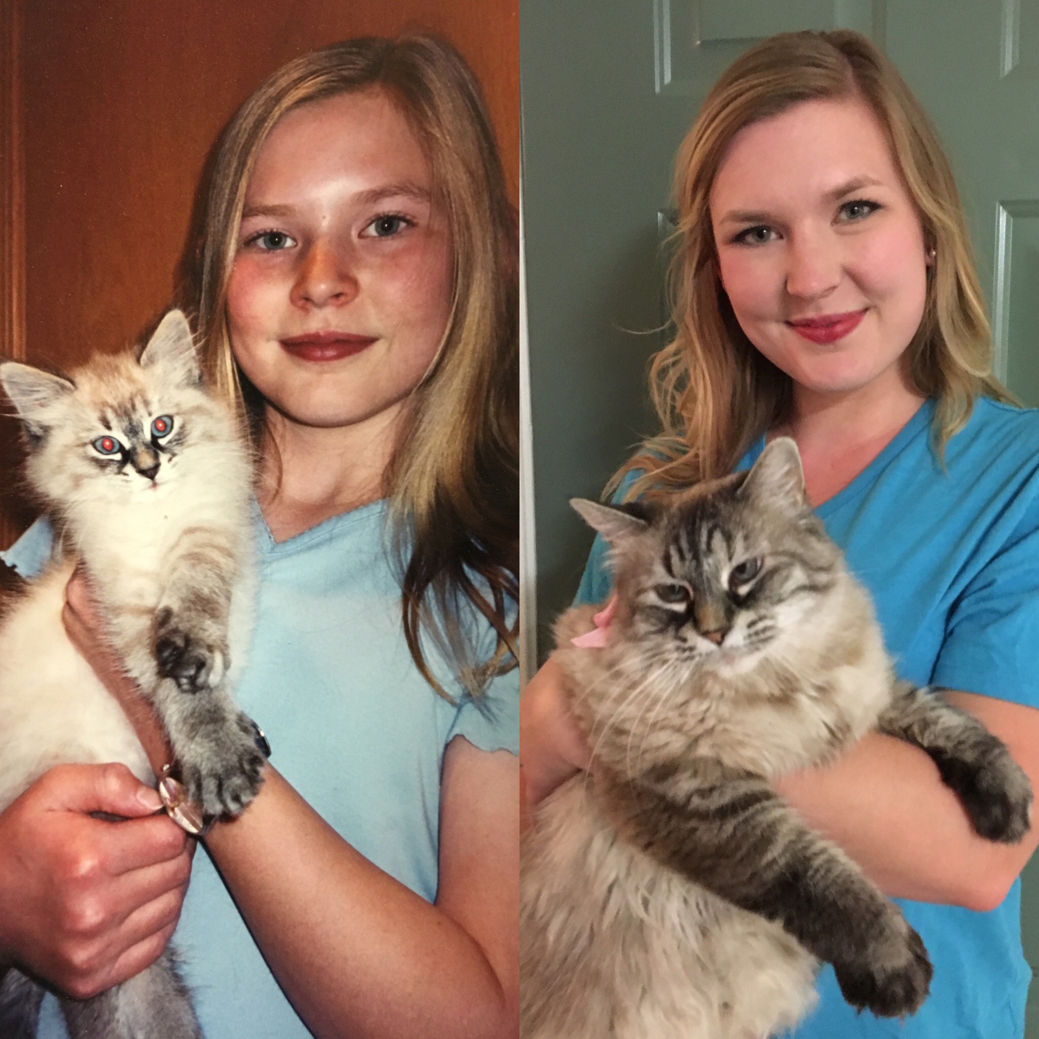 a photo of a little girl smiling as she holds her kitten and a photo of that same girl years later, now an adult, recreating that photo with the same cat
