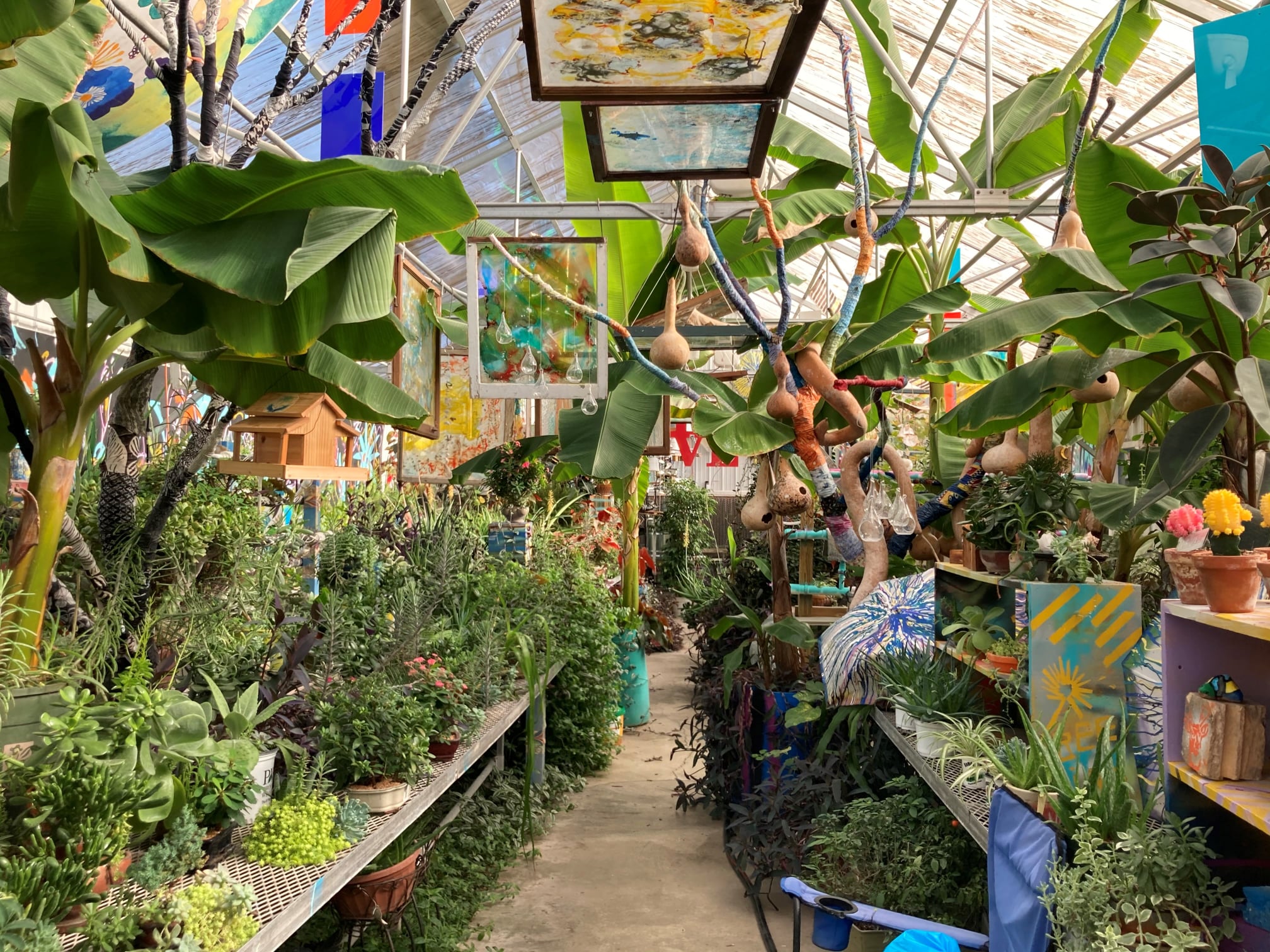a flourishing greenhouse at cedar home in kansas