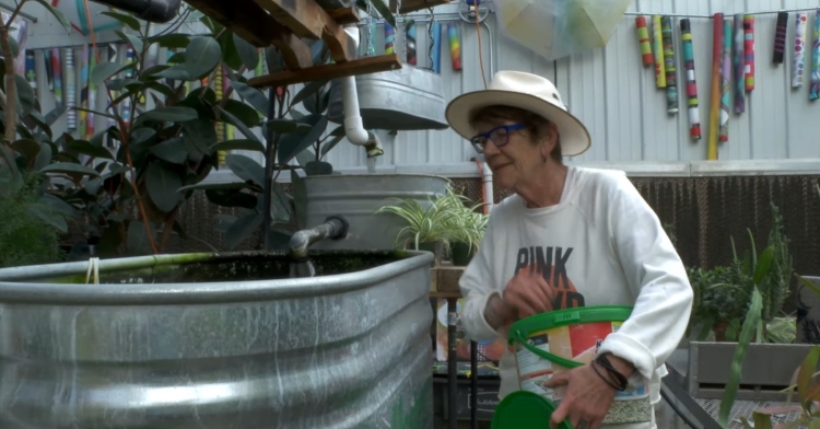 a woman named patti o'malley feeding fish in her green house at cedar home in kansas