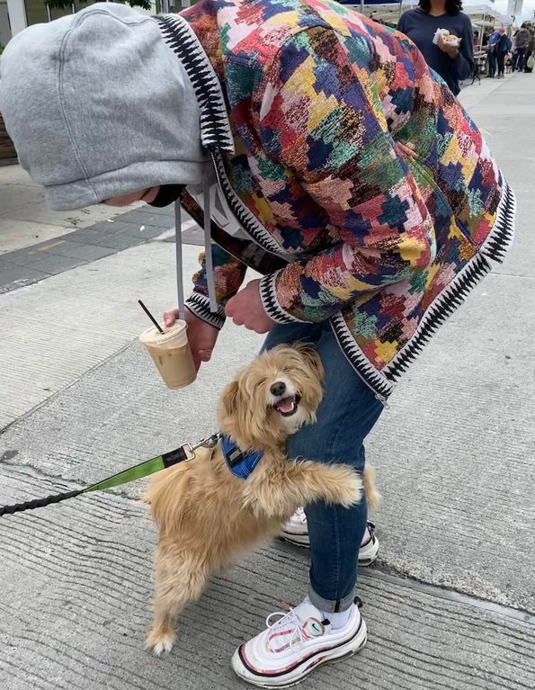 little dog hugging woman's leg