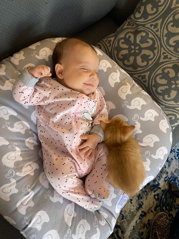 baby snuggling with kitten