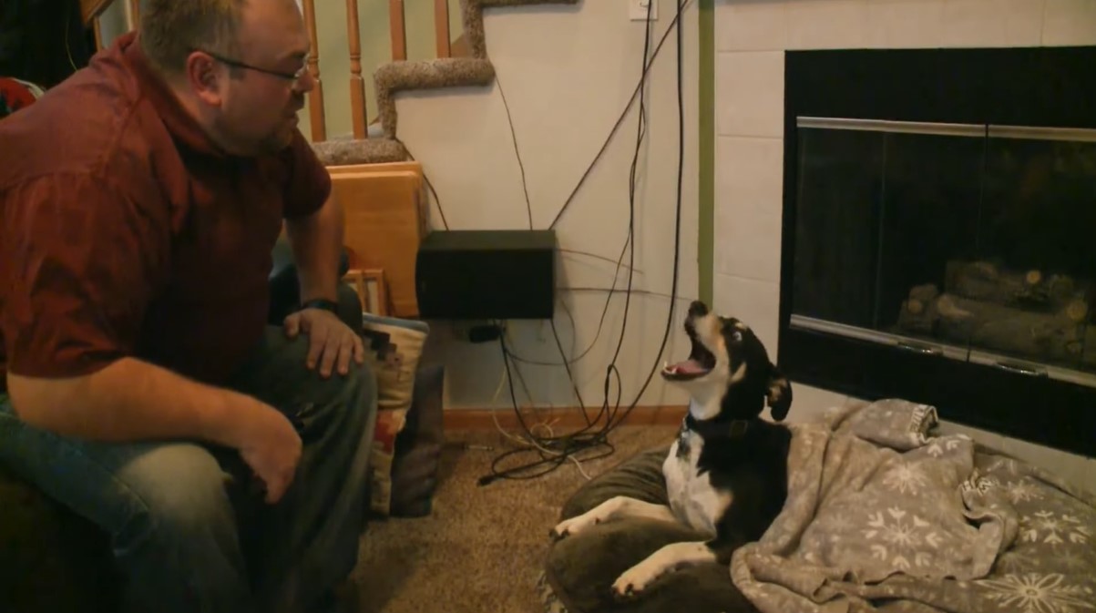 a man named brad harbert sitting on a couch as he talks to his dog, roxy, who is laying on the ground near him and is mid-barking