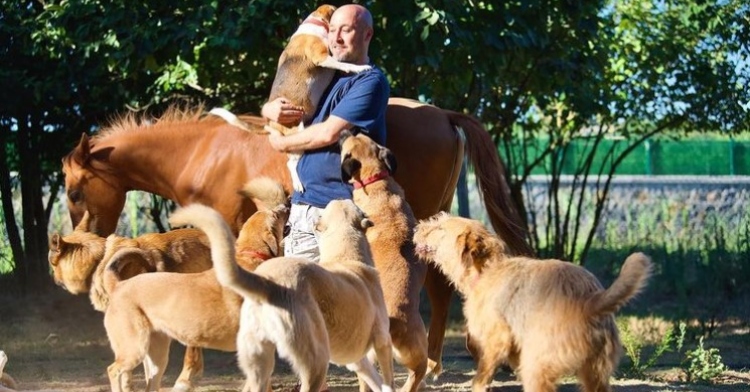 a man named mert akkök cradling a dog in his arms as he stands in the middle of a crowd of dogs and a single horse
