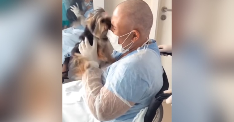 a woman named maria, who is sitting in a wheelchair and is wearing a face mask, gloves, and other hospital ware, crying as she hold her small dog, amora, after being in the hospital for 40 days