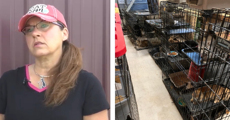 a two-photo collage. the first is of jackie mihal talking outside in front of a building. she is wearing a hat that says "cat mom" and a necklace with a back cat on it. the second is of cages with cats inside that jackie has rescued.