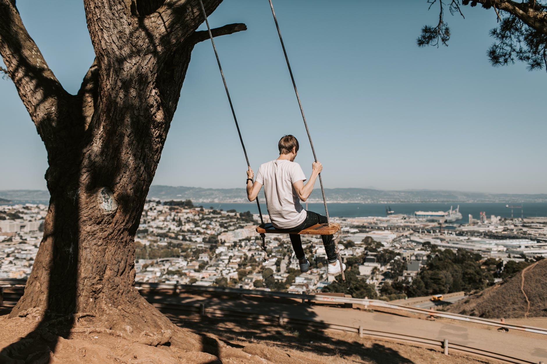 a man swinging from a swing on a large tree with the view of a large city in the distance 