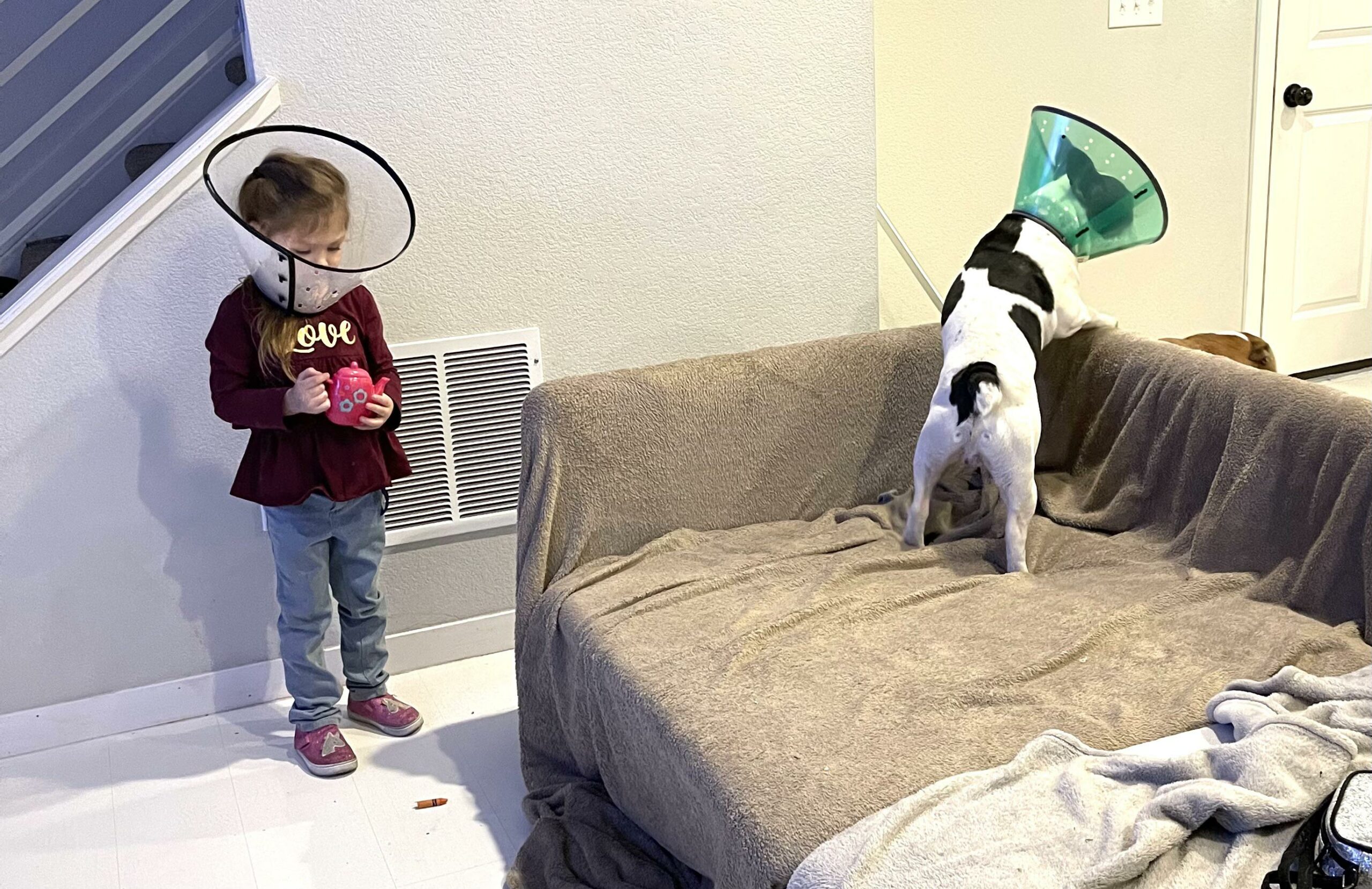kid wearing cone of shame with dog
